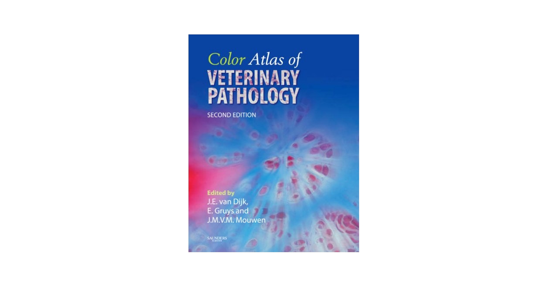 Gastrointestinal Disease: vOL. 1: 医書大型洋書 978-3-319-49016-8?as=webp